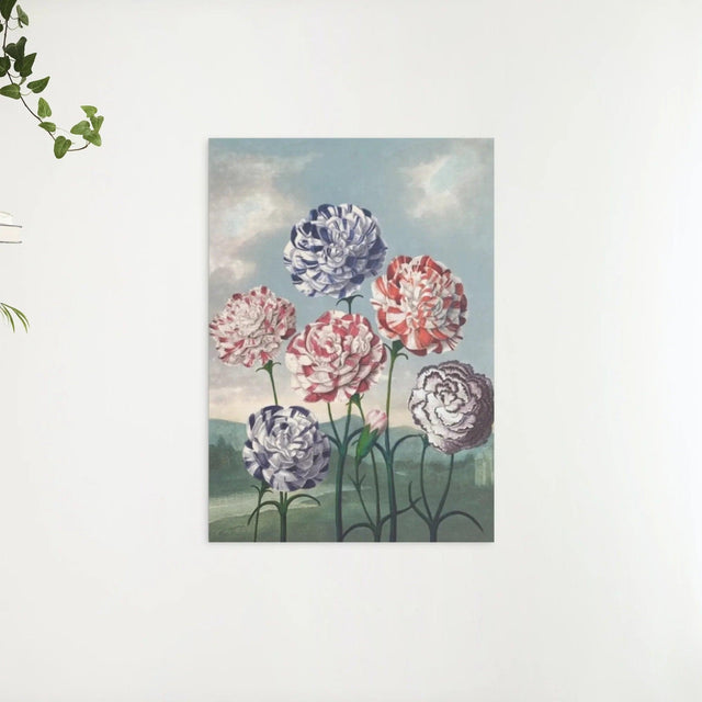 Diamond Painting - Groep Anjers - SEOS Shop ®