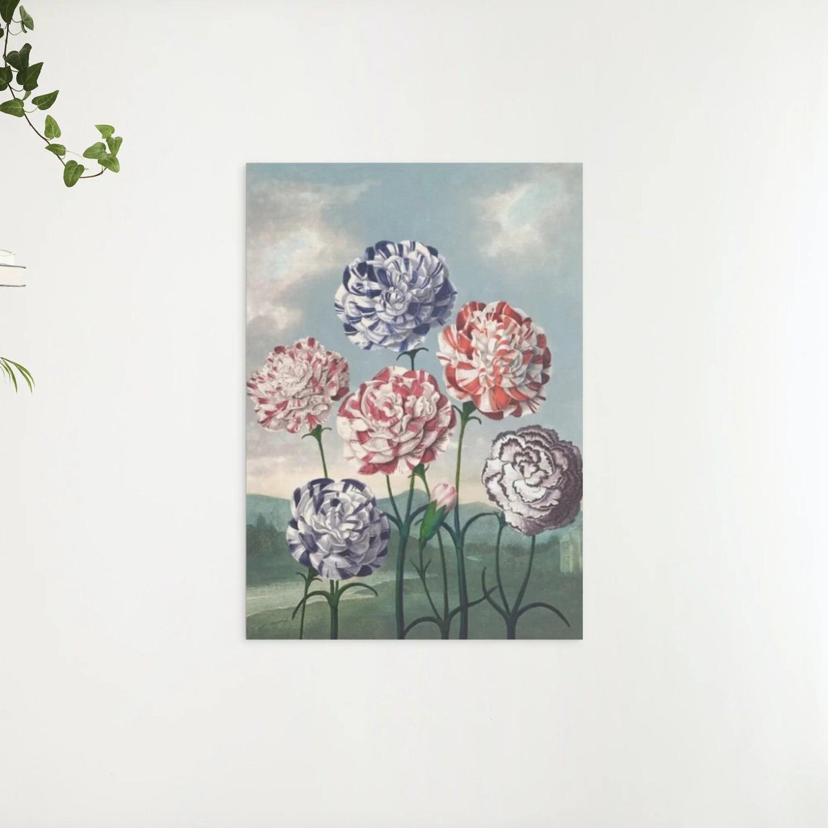 Diamond Painting - Groep Anjers - SEOS Shop ®