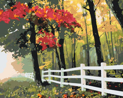 Diamond Painting - Herfstochtend - SEOS Shop ®