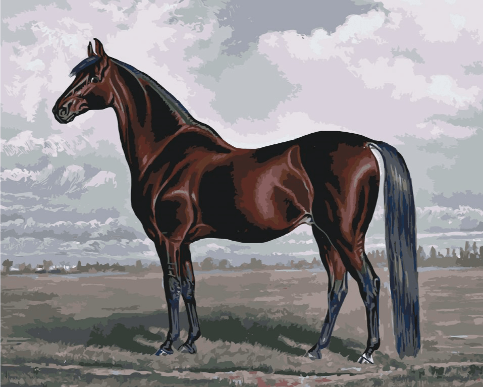 Diamond Painting - Het majestueuze paard - SEOS®