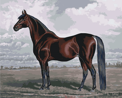 Diamond Painting - Het majestueuze paard - SEOS®