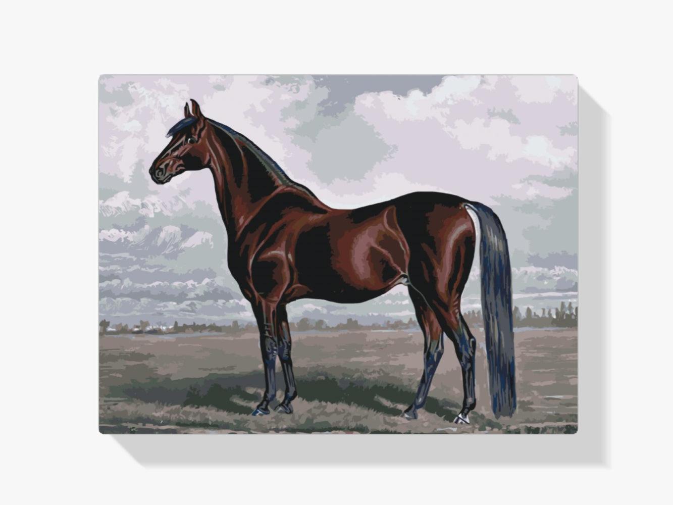 Diamond Painting - Het majestueuze paard - SEOS®