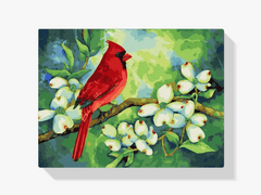 Diamond Painting - Kardinaal - SEOS®