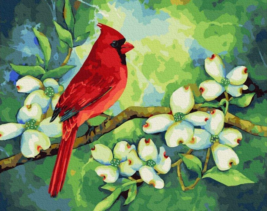 Diamond Painting - Kardinaal - SEOS®