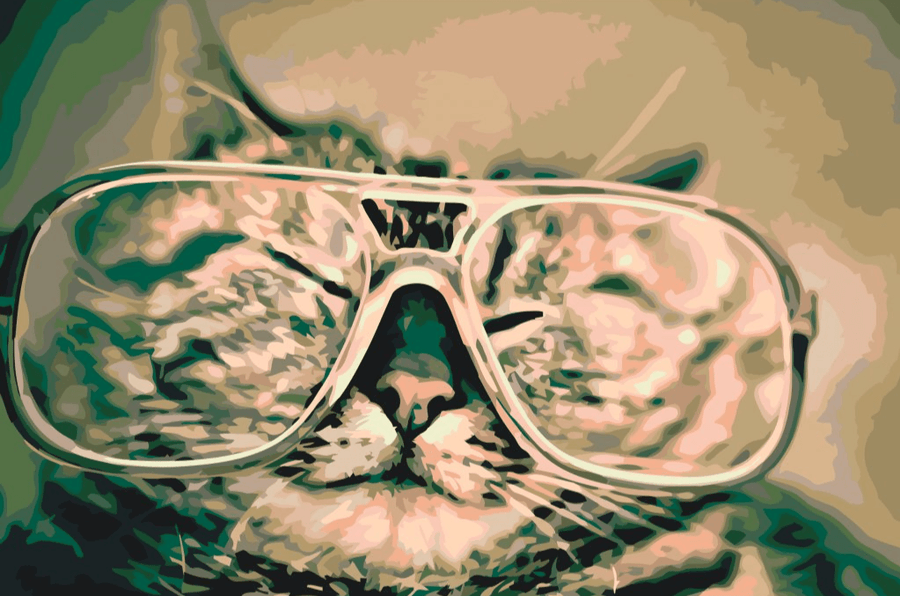 Diamond Painting - Kat met bril - SEOS®