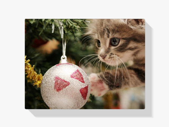 Diamond Painting - Kat met kerstbal - SEOS®