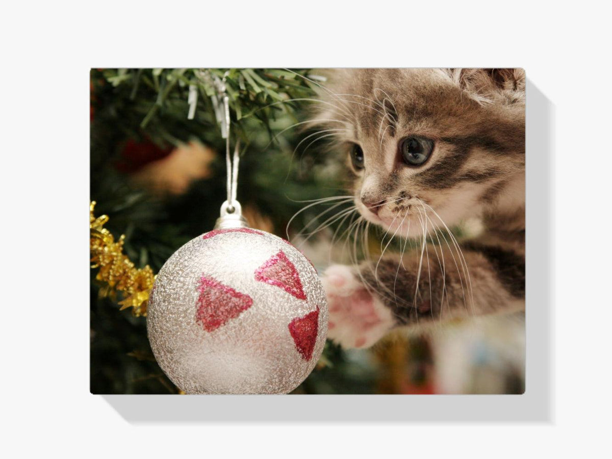 Diamond Painting - Kat met kerstbal - SEOS®