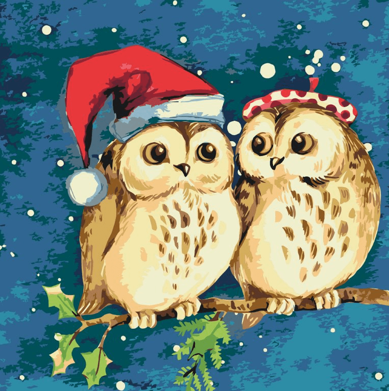 Diamond Painting - Kerst uilen - SEOS Shop ®