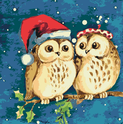 Diamond Painting - Kerst uilen - SEOS Shop ®