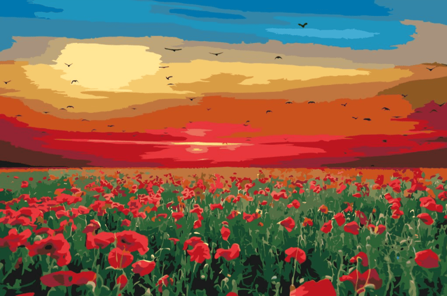 Diamond Painting - Klaprozenveld bij zonsondergang - SEOS Shop ®
