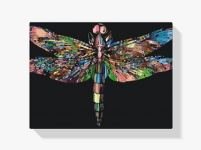 Diamond Painting - Kleurrijke libel - SEOS®
