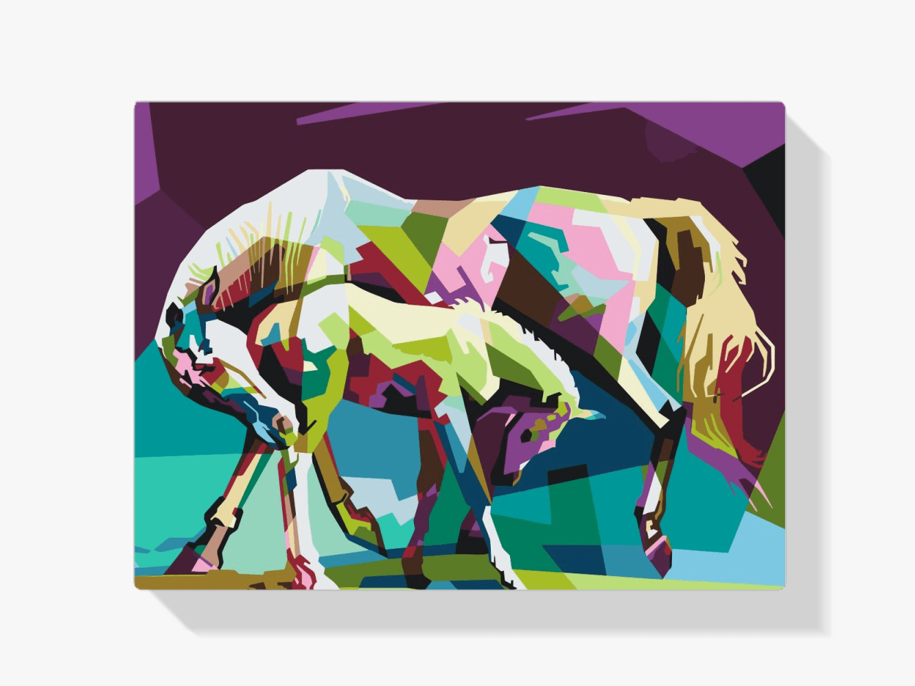 Diamond Painting - Kleurrijke paarden - SEOS®