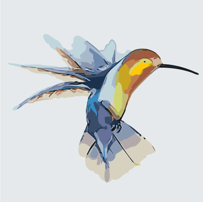 Diamond Painting - Kolibrie - SEOS®