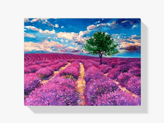 Diamond Painting - Lavendelvelden van de Provence - SEOS Shop ®