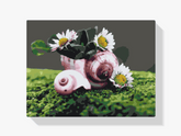 Diamond Painting - Madeliefjes in de dop - SEOS Shop ®