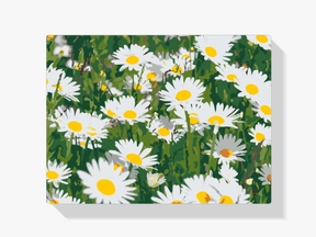 Diamond Painting - Madeliefjes in de wei - SEOS Shop ®