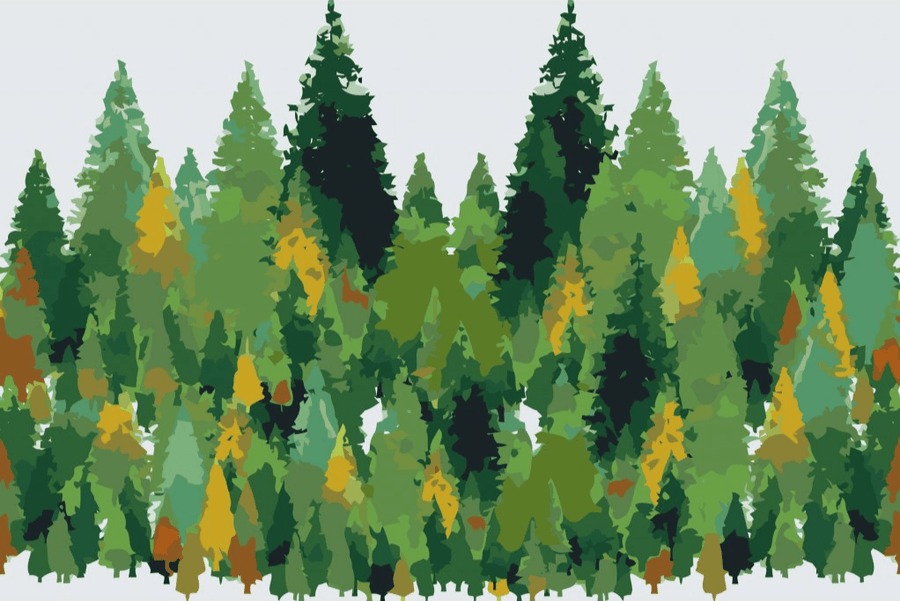 Diamond Painting - Pijnbomen - SEOS Shop ®