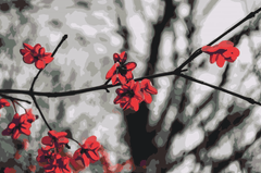 Diamond Painting - Rode bloemen aan de boom - SEOS Shop ®