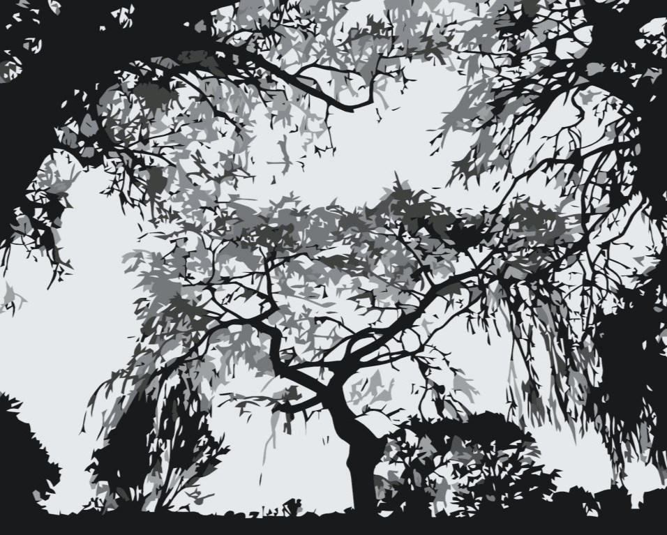 Diamond Painting - Silhouet van bomen - SEOS Shop ®