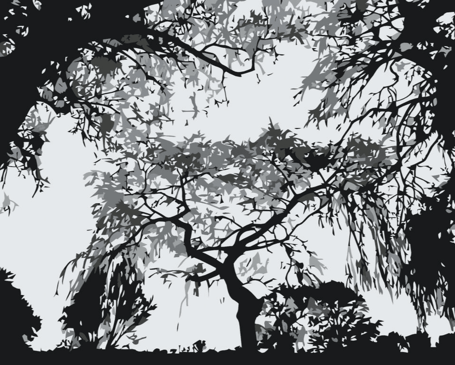 Diamond Painting - Silhouet van bomen - SEOS Shop ®