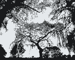 Diamond Painting - Silhouet van bomen - SEOS Shop ®