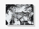 Diamond Painting - Silhouet van bomen - SEOS Shop ®