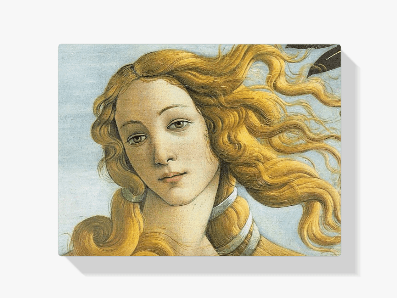 Diamond Painting - Venus - SEOS Shop ®