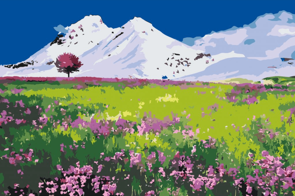 Diamond Painting - Weide midden in de bergen - SEOS Shop ®