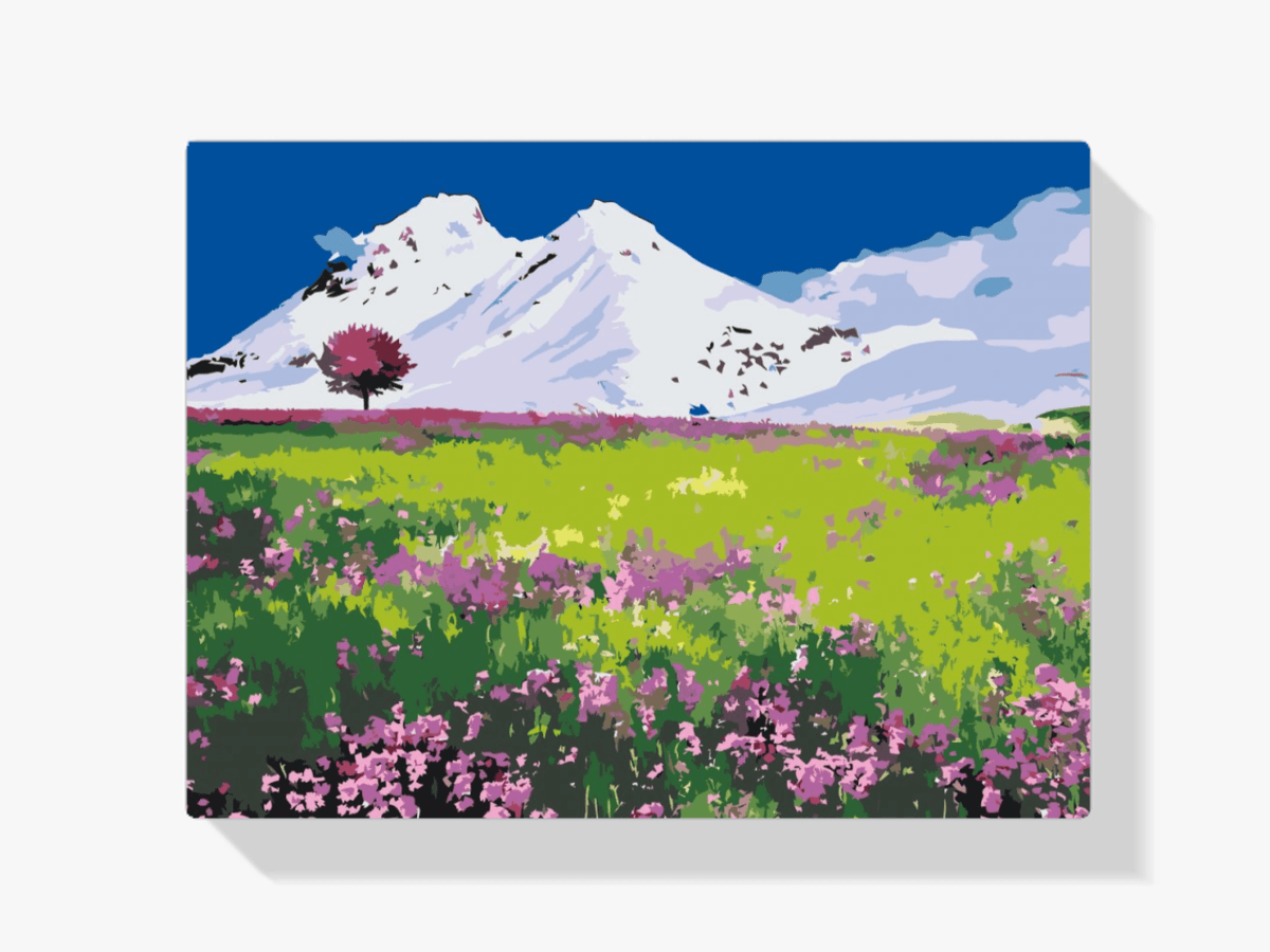 Diamond Painting - Weide midden in de bergen - SEOS Shop ®