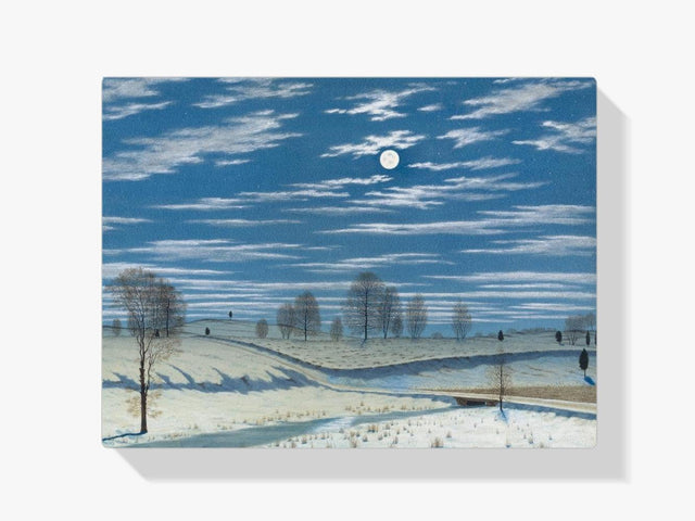 Diamond Painting - Winter Scène in Maanlicht - SEOS Shop ®