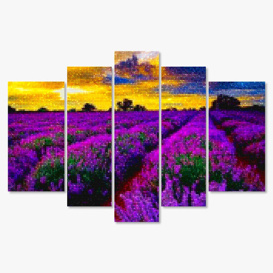 Diamond Painting Paarse bloemen in een veld 5 luik - SEOS Shop ®