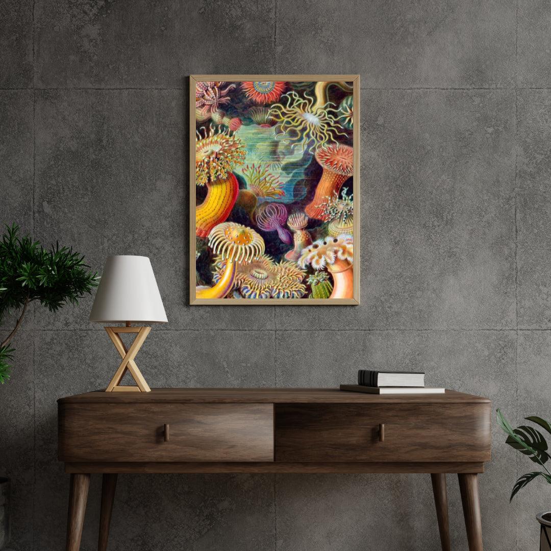 Diamond Painting - Actiniae