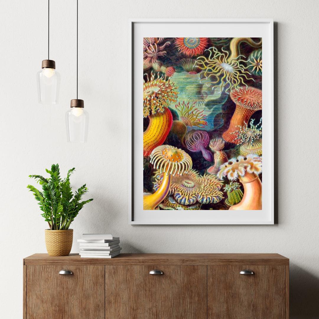 Diamond Painting - Actiniae