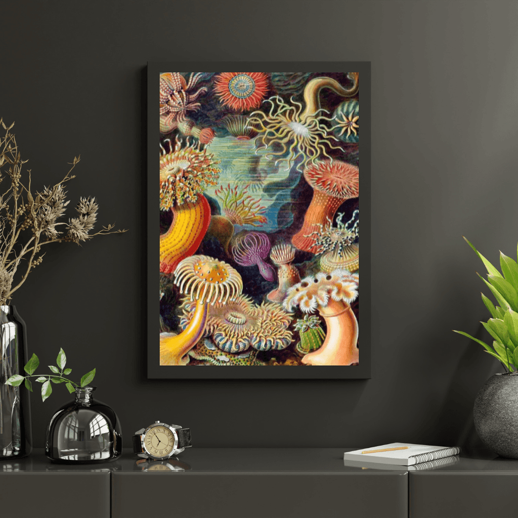 Diamond Painting - Actiniae