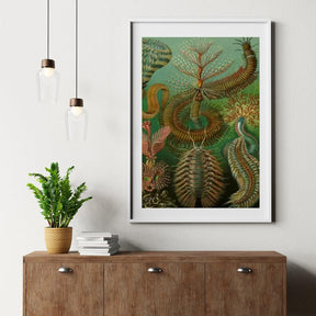 Diamond Painting - Chaetopoda
