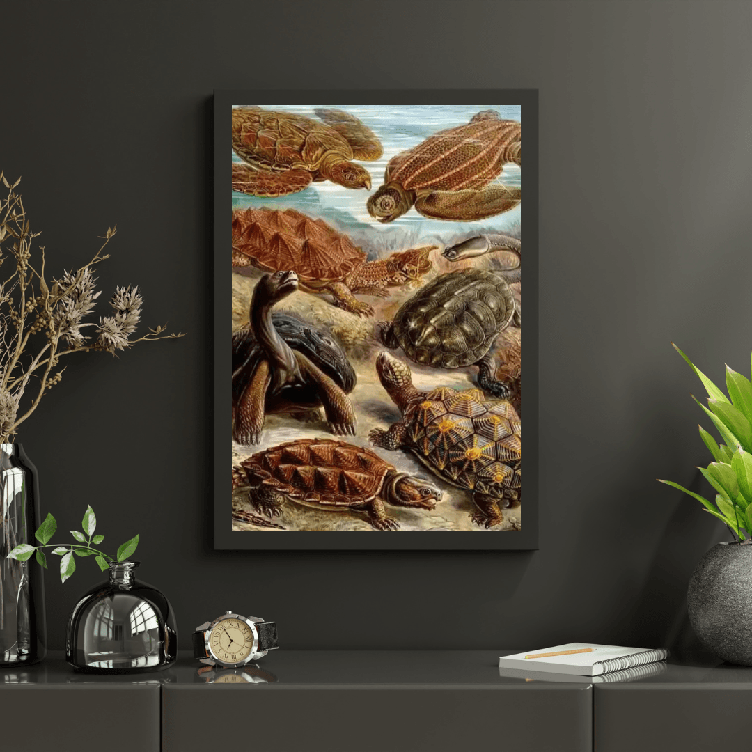 Diamond Painting - Chelonia
