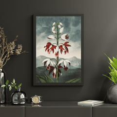 Diamond Painting - De Chinese Limodoron - SEOS Shop ®