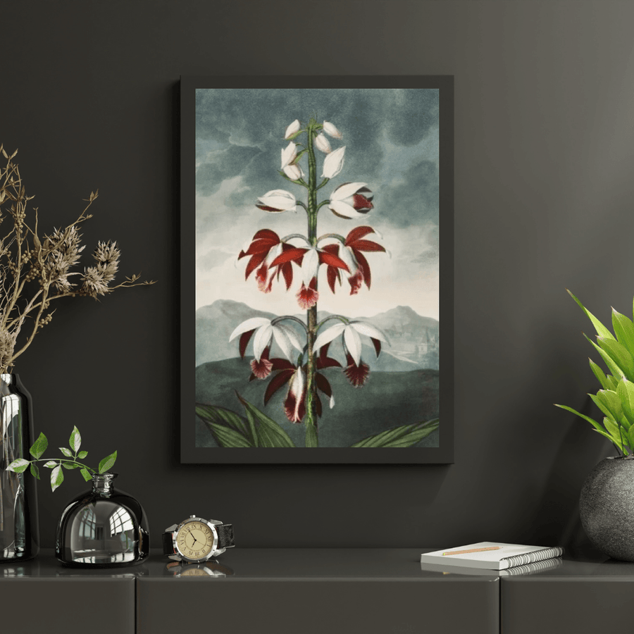 Diamond Painting - De Chinese Limodoron - SEOS Shop ®