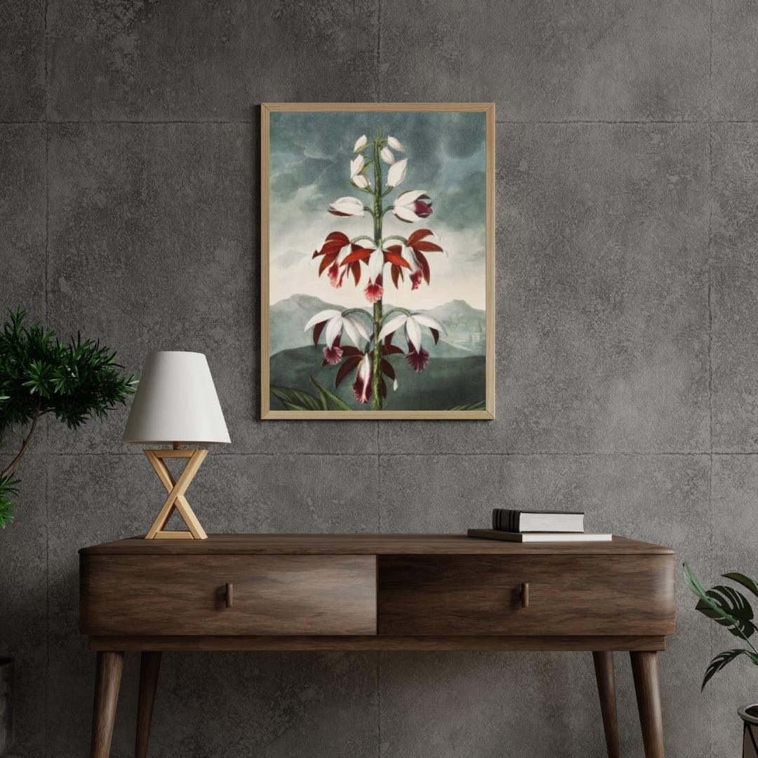 Diamond Painting - De Chinese Limodoron - SEOS Shop ®