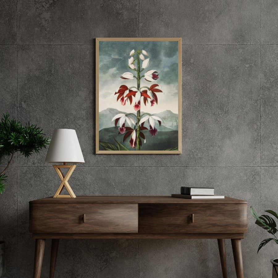 Diamond Painting - De Chinese Limodoron - SEOS Shop ®