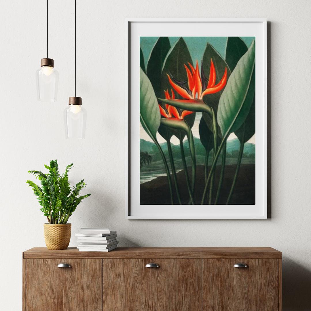 Diamond Painting - De Koningin Plant - SEOS Shop ®