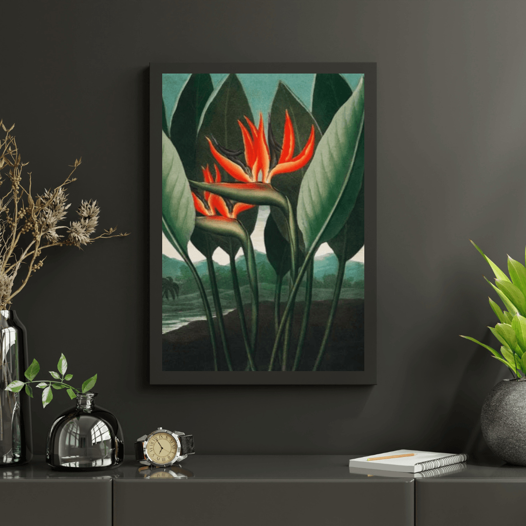 Diamond Painting - De Koningin Plant - SEOS Shop ®