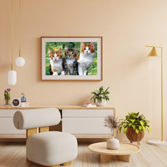 Diamond Painting - Drie katten - SEOS®