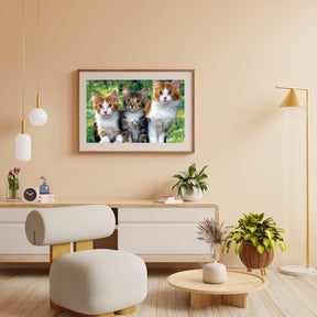 Diamond Painting - Drie katten - SEOS®