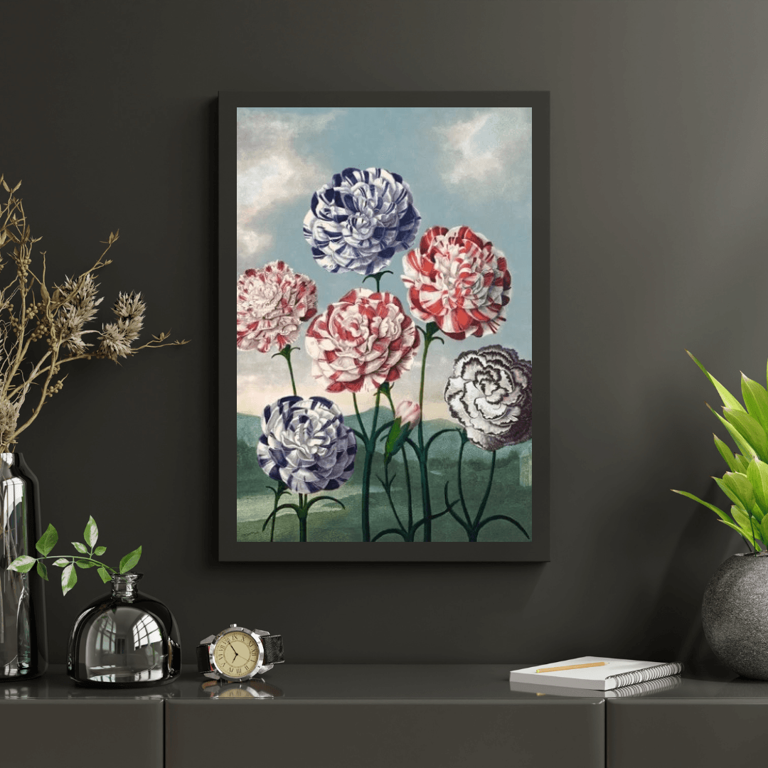 Diamond Painting - Groep Anjers - SEOS Shop ®