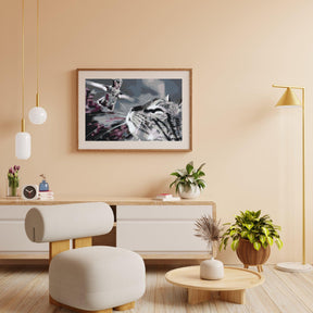 Diamond Painting - Kat en vogel - SEOS®