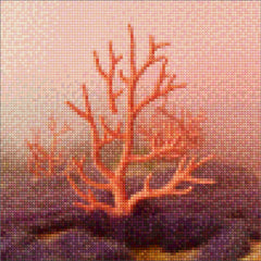 Mini Diamond Painting - Koraalmist
