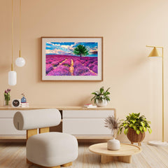 Diamond Painting - Lavendelvelden van de Provence - SEOS Shop ®