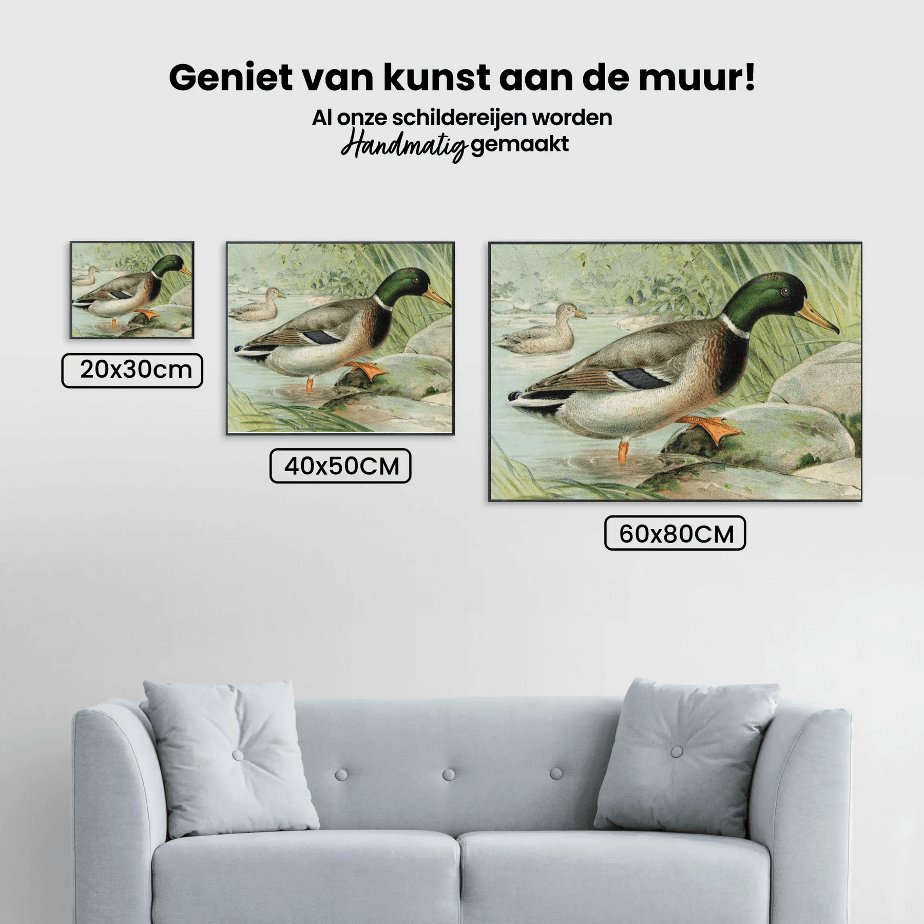 Diamond Painting Mallard Duck