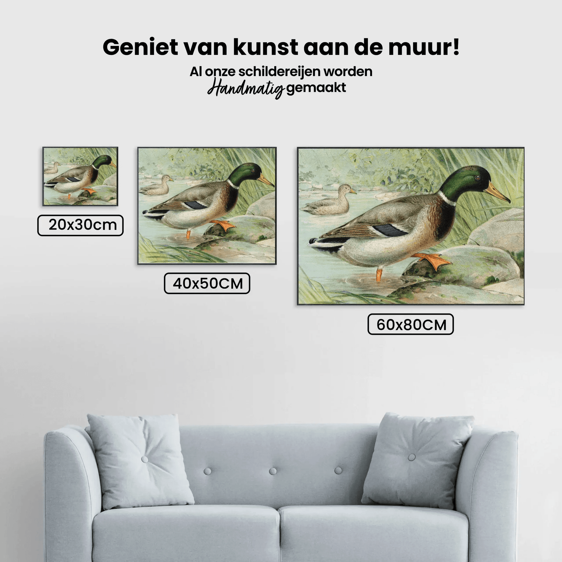 Diamond Painting Mallard Duck